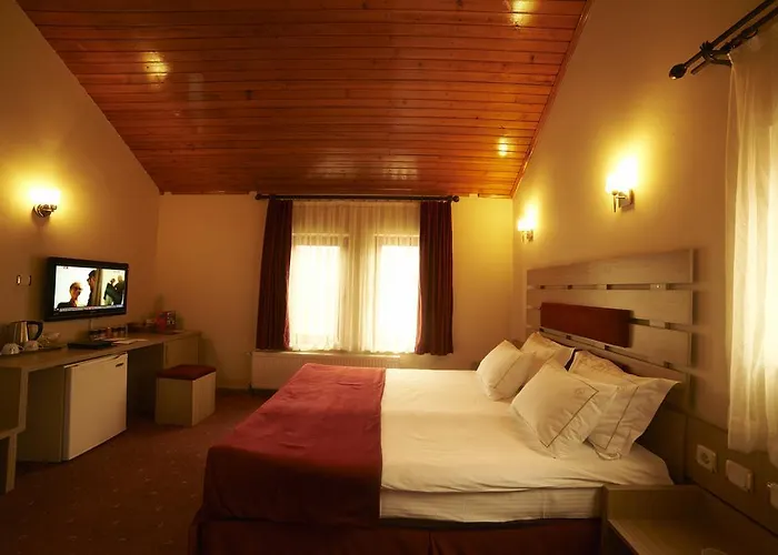 Saffron Yozgat Fakıbeyli