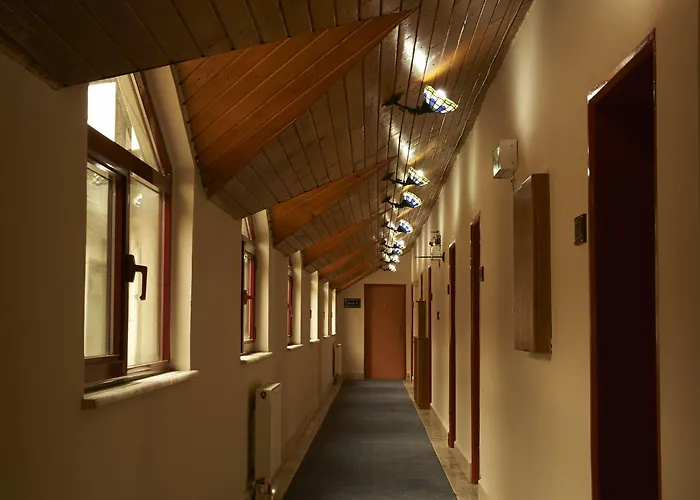 Saffron Yozgat Fakıbeyli